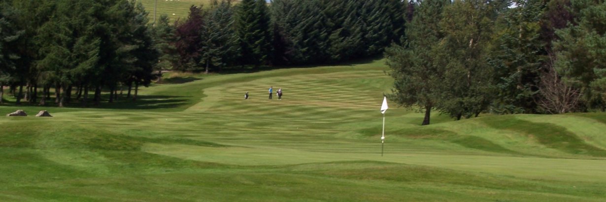 Hiltongreens's profile banner image