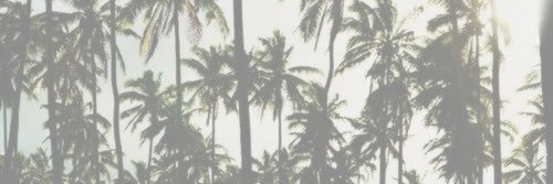 Lauritejada's profile banner image