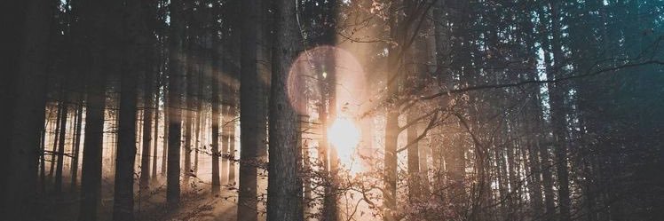 andrianaanders's profile banner image