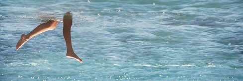 gaye banner
