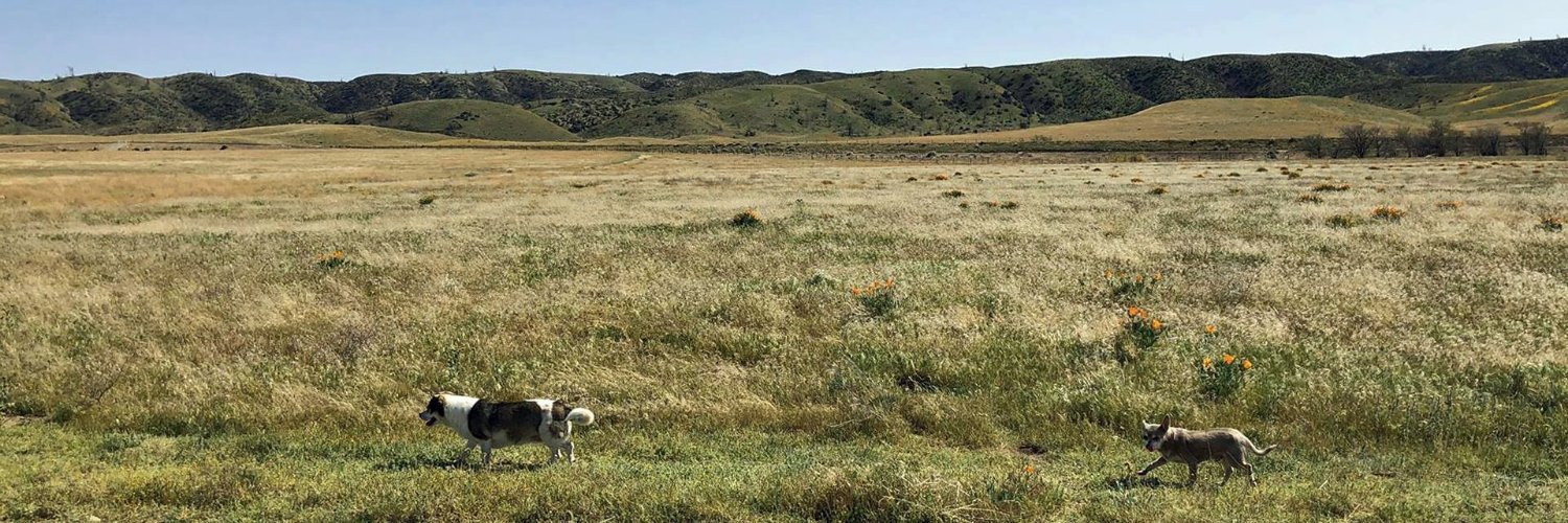 Considerate Cahoots banner