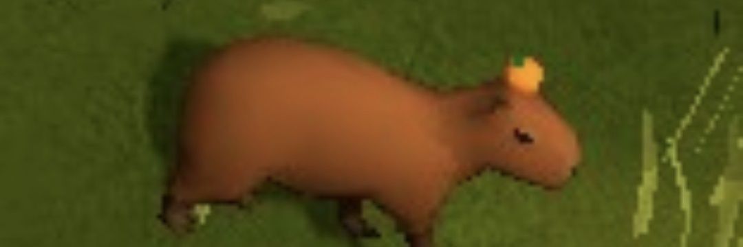 zunglima's profile banner image