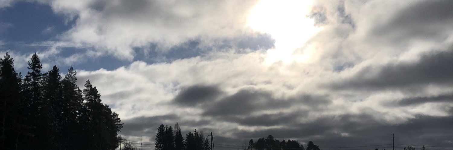 TiinaKankare's profile banner image