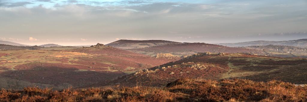 Wild Running - Trail Running & SwimRun Adventures banner