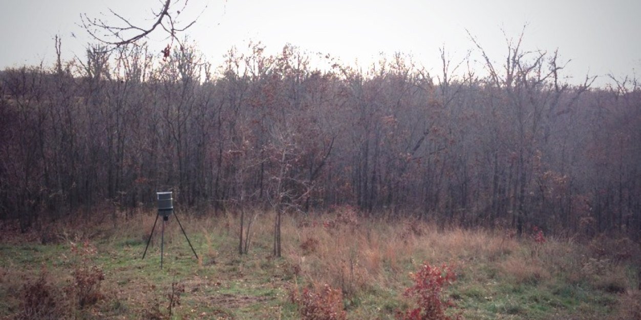 cholbyrich's profile banner image