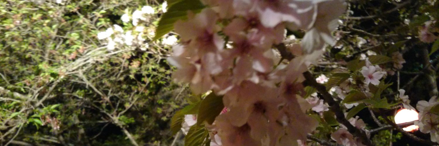yamazaki_000000's profile banner image
