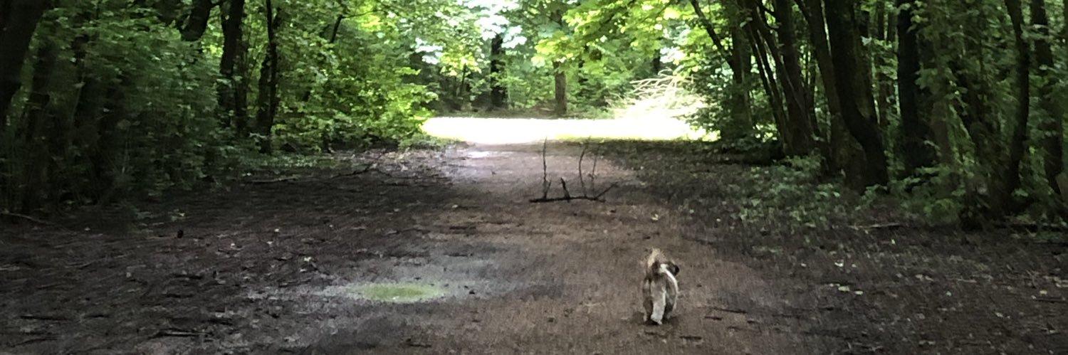 rian de lange banner