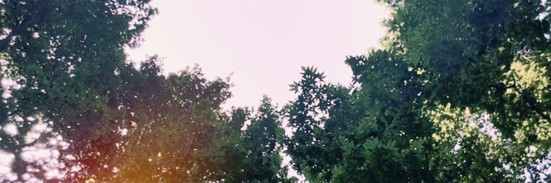 Sinisterrella banner