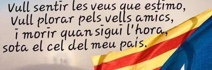 puig amer 💫🤗 banner