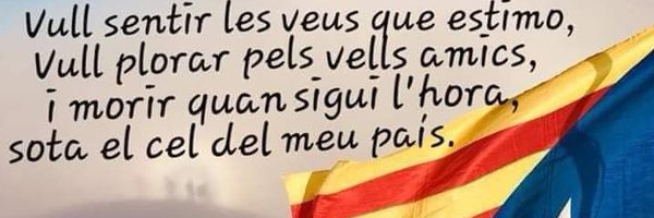 puigamer Profile Banner