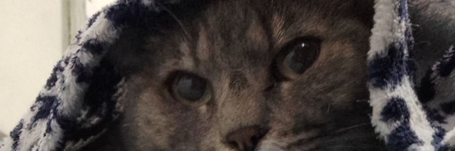 duda77's profile banner image