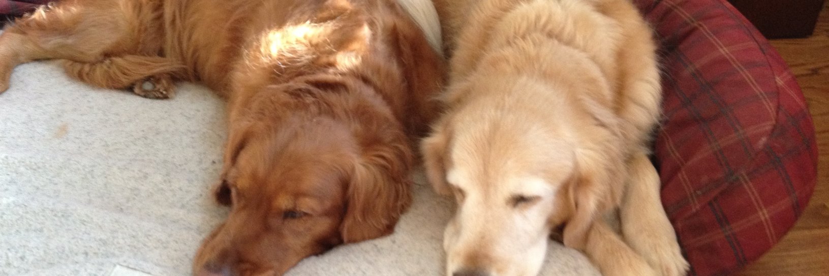 Iron Patriot 🇺🇸🇺🇸 banner