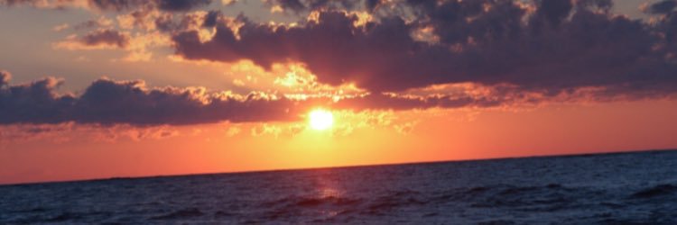 Callan_Jackson's profile banner image