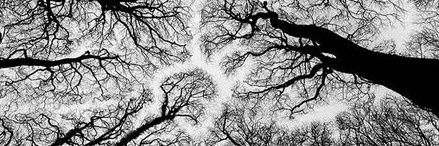 pablo_fj's profile banner image
