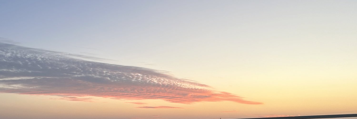 asaproxana's profile banner image