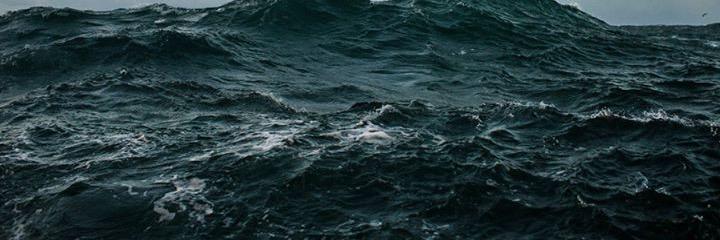 Netwakefield's profile banner image