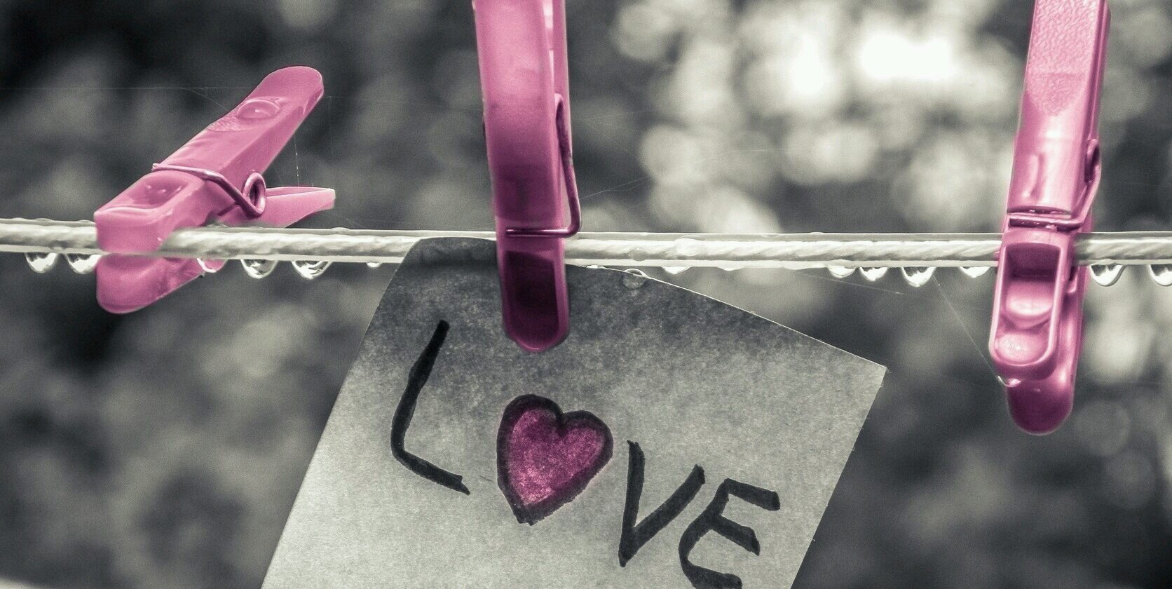 sofia_sereno's profile banner image
