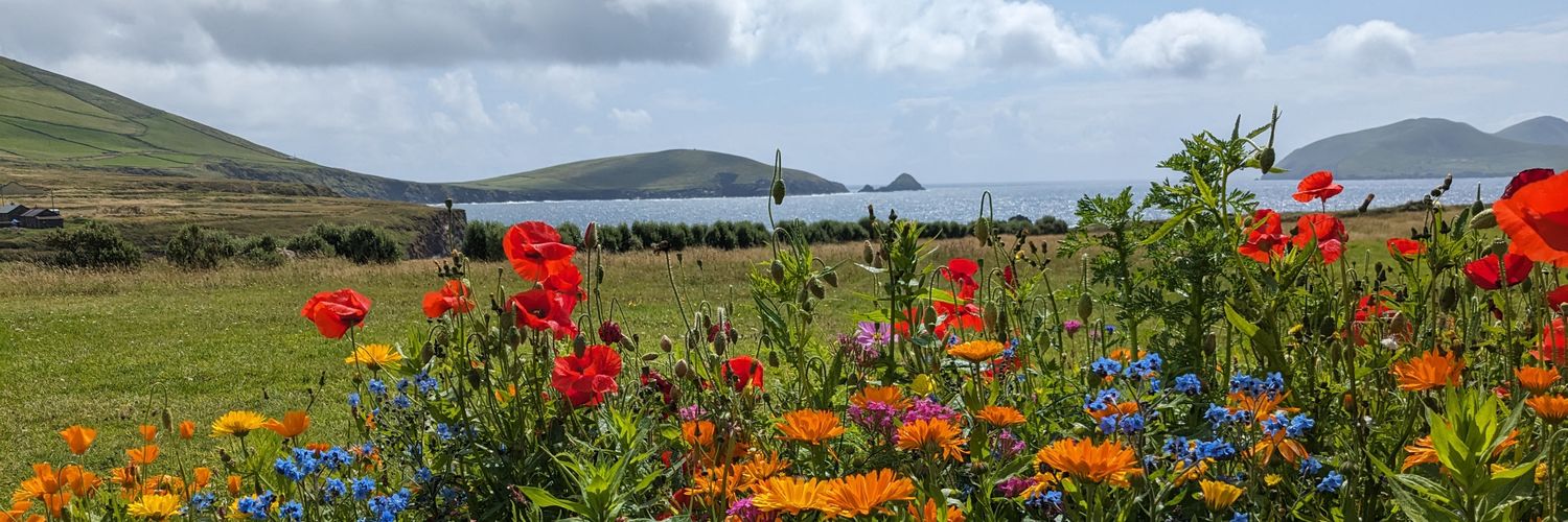 Erin Flaherty banner