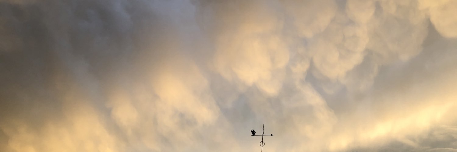 daneborn's profile banner image
