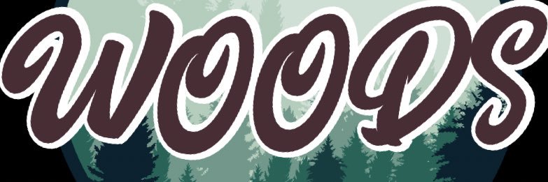 Ryan Woods banner