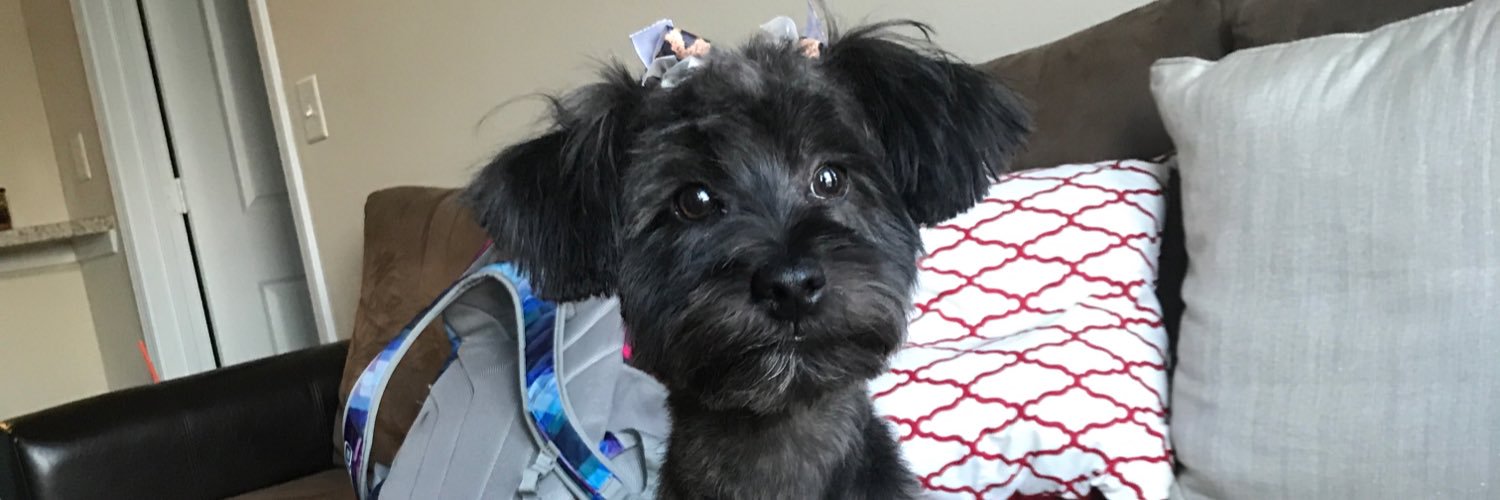 kmormitch's profile banner image