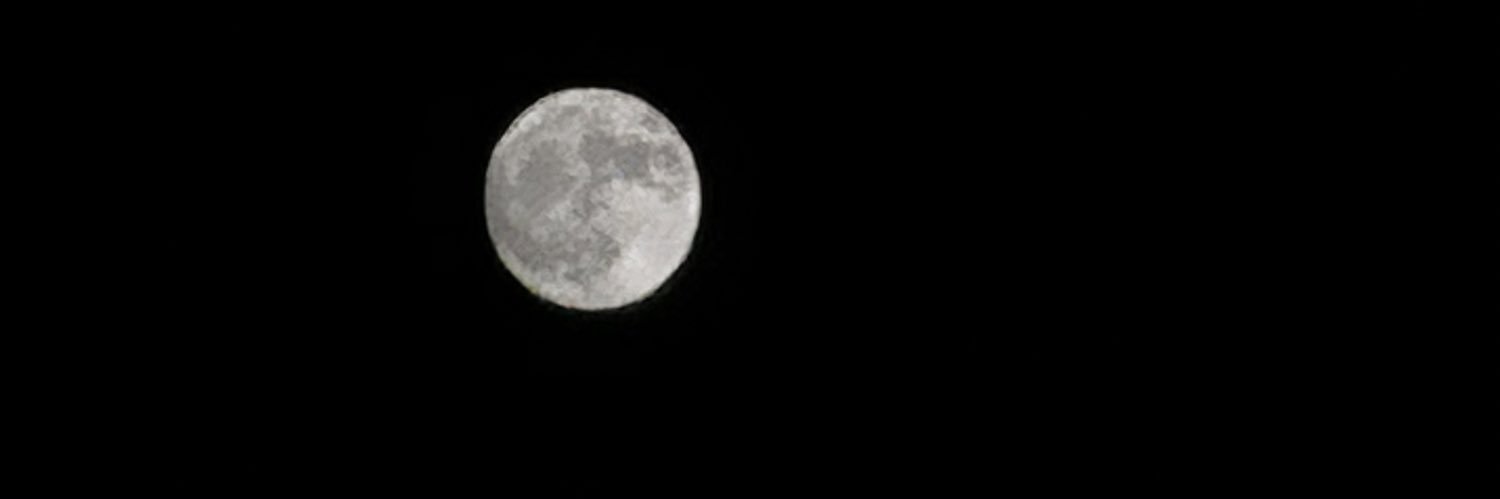 levrietzelle's profile banner image