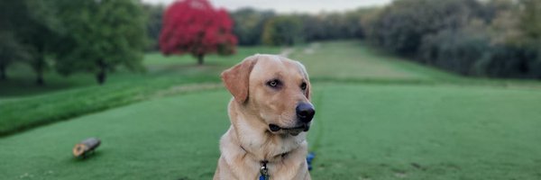 tsryan12 Profile Banner