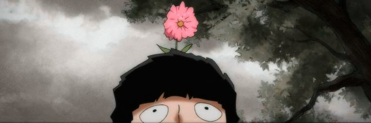 someliaofoda's profile banner image