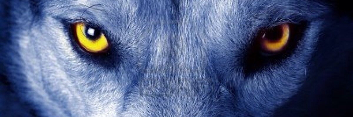 Oscarfaces's profile banner image