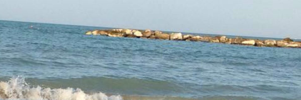 LivioAlessandro's profile banner image