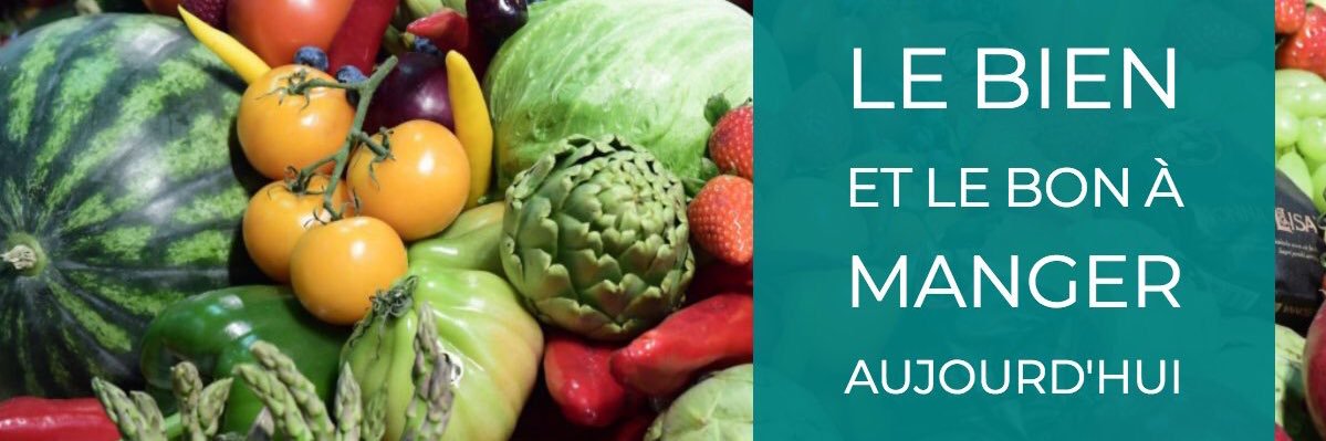 Clémentine Hugol-Gential banner