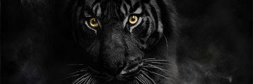 itz_Double_Og's profile banner image