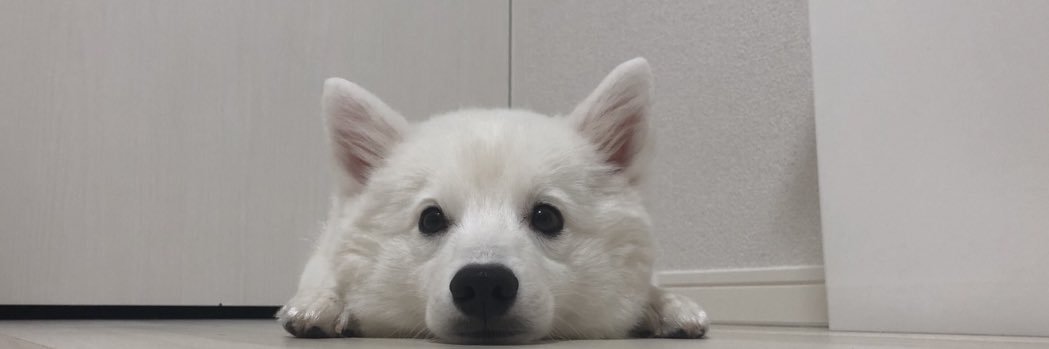 fuma_hakuna124's profile banner image
