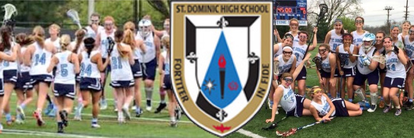 sdhsladieslax's profile banner image