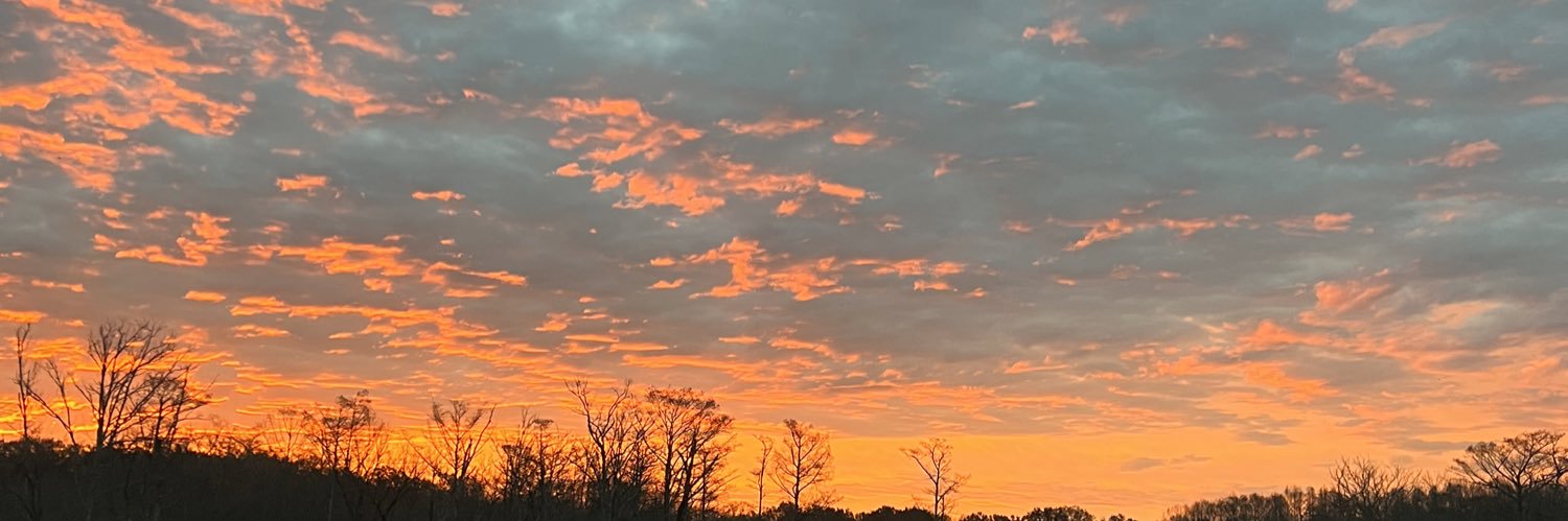 devriedeann's profile banner image