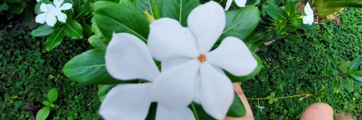 auto25255's profile banner image