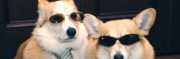 S_dawgg's profile banner image