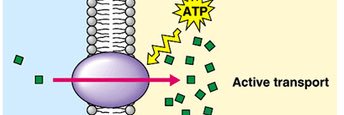 ActiveTrnsprt's profile banner image