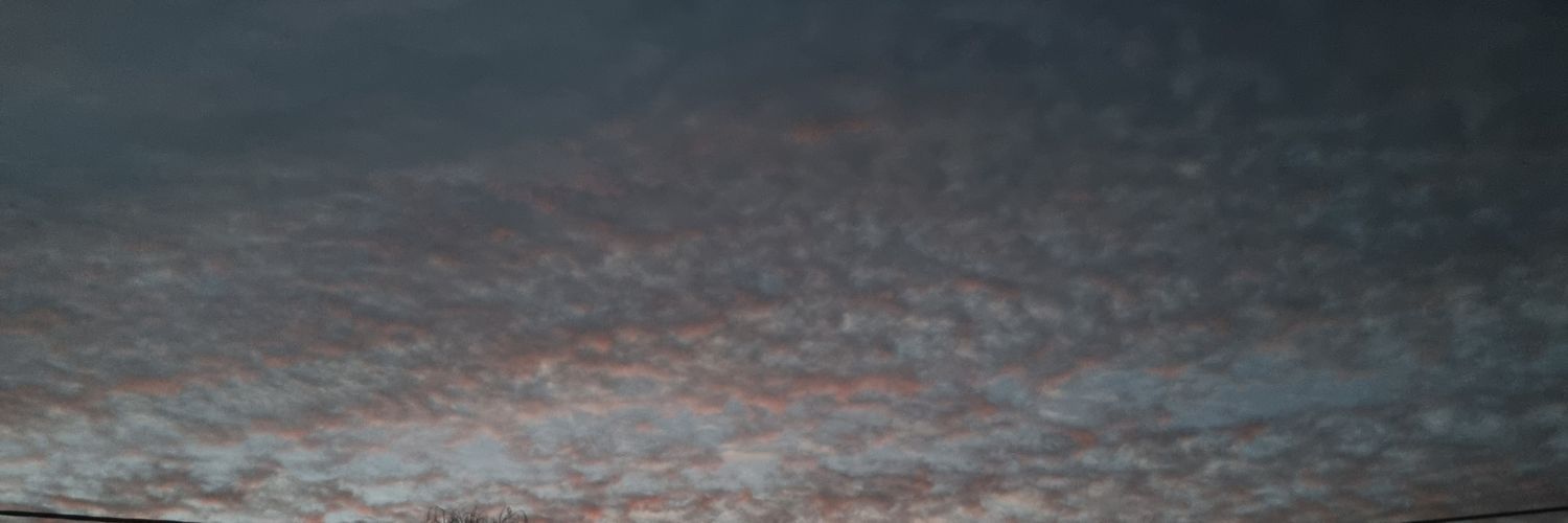 Alex banner