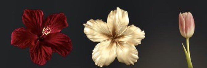 bernaaydinn's profile banner image