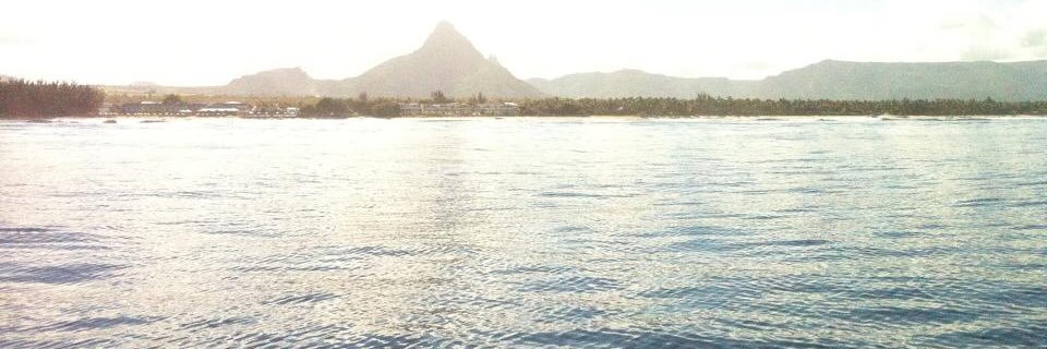 danielle_col's profile banner image
