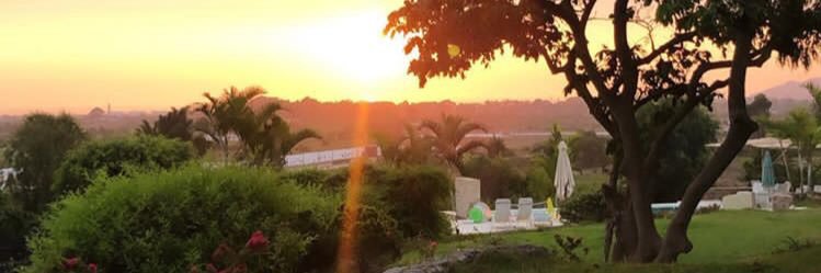 Winie Aponte R. banner