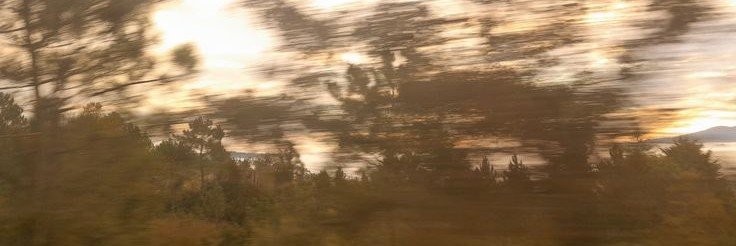 Kayiel. banner