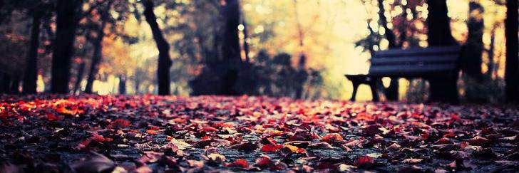 OzsuHalil's profile banner image