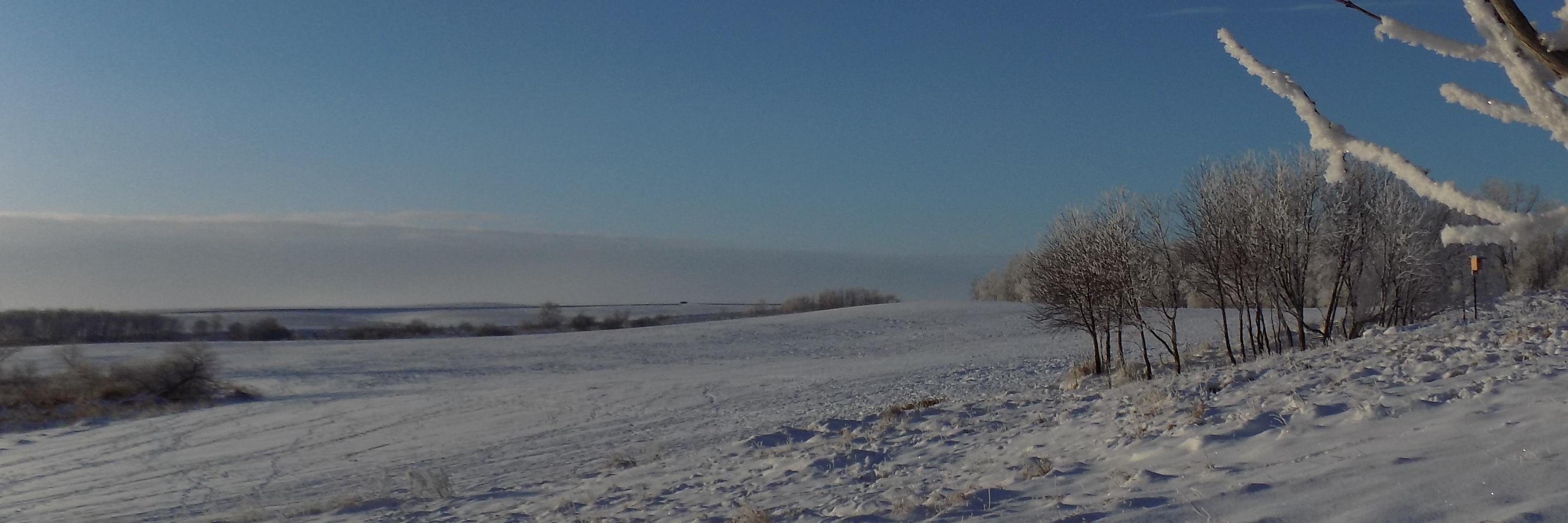 Alex_RHRC's profile banner image