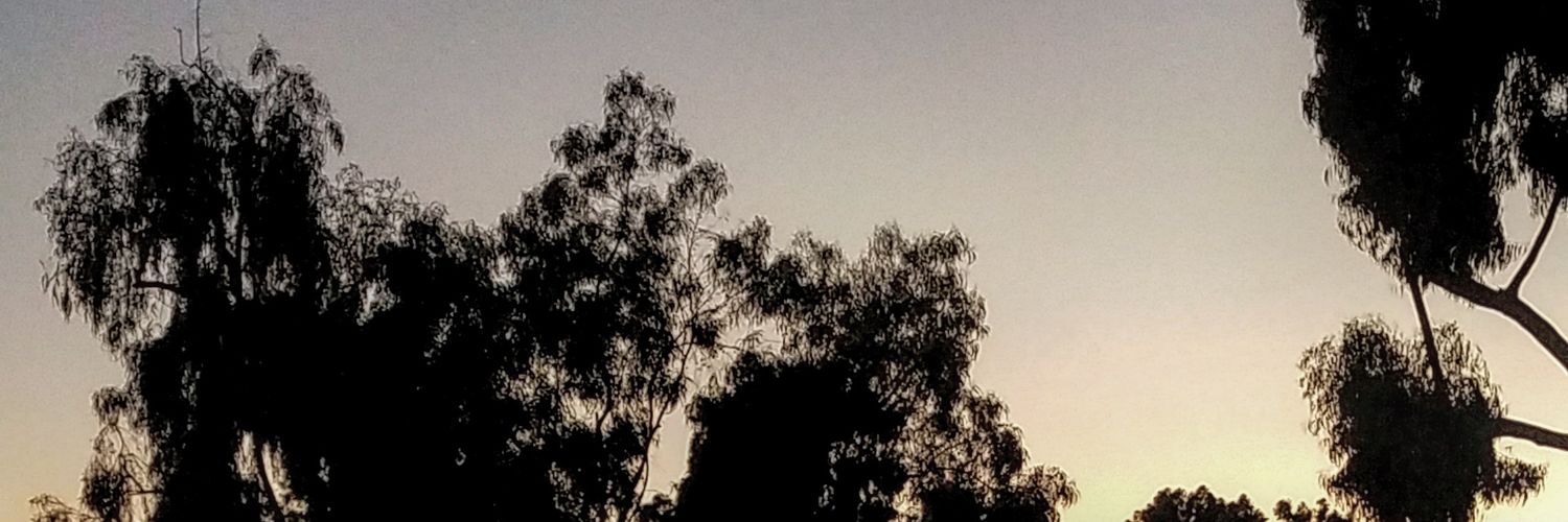 lolomissa's profile banner image