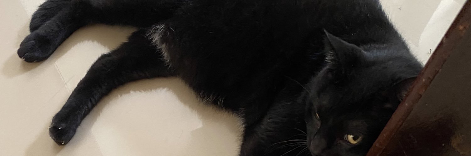 ValericeFonseca's profile banner image