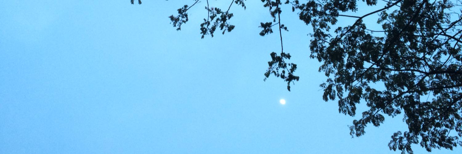 JanierC's profile banner image