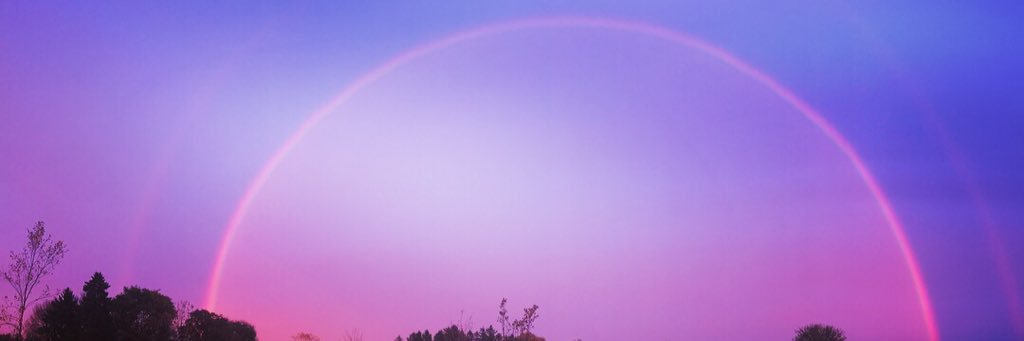 snecca_taylor's profile banner image
