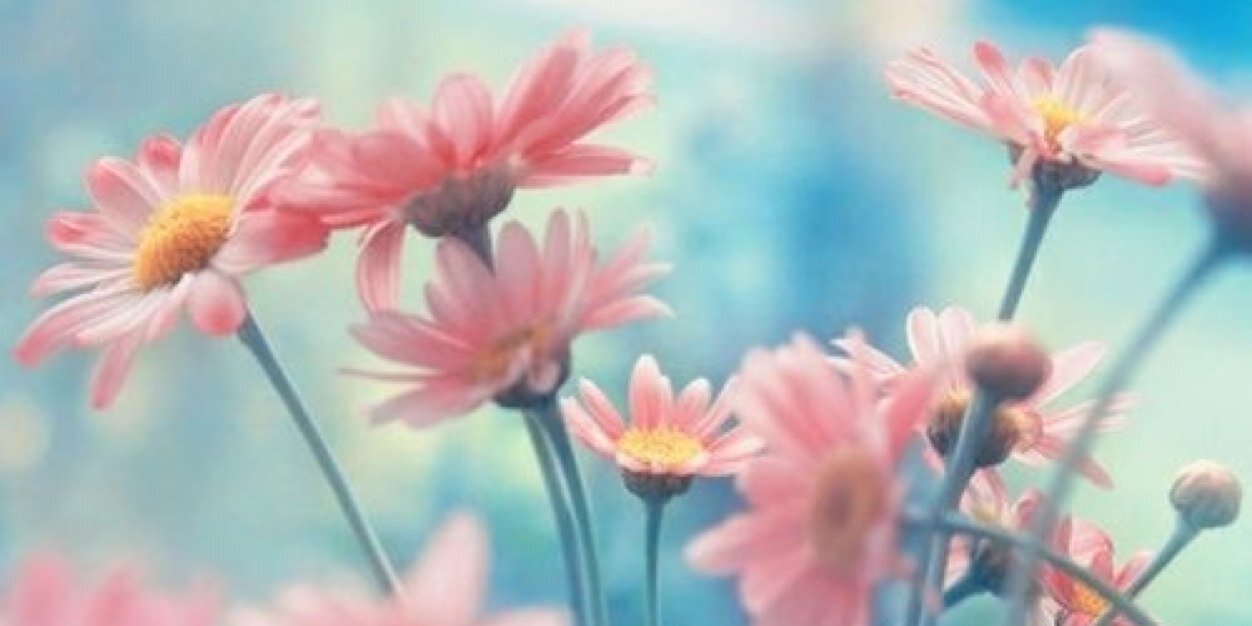CristinaVeragua's profile banner image